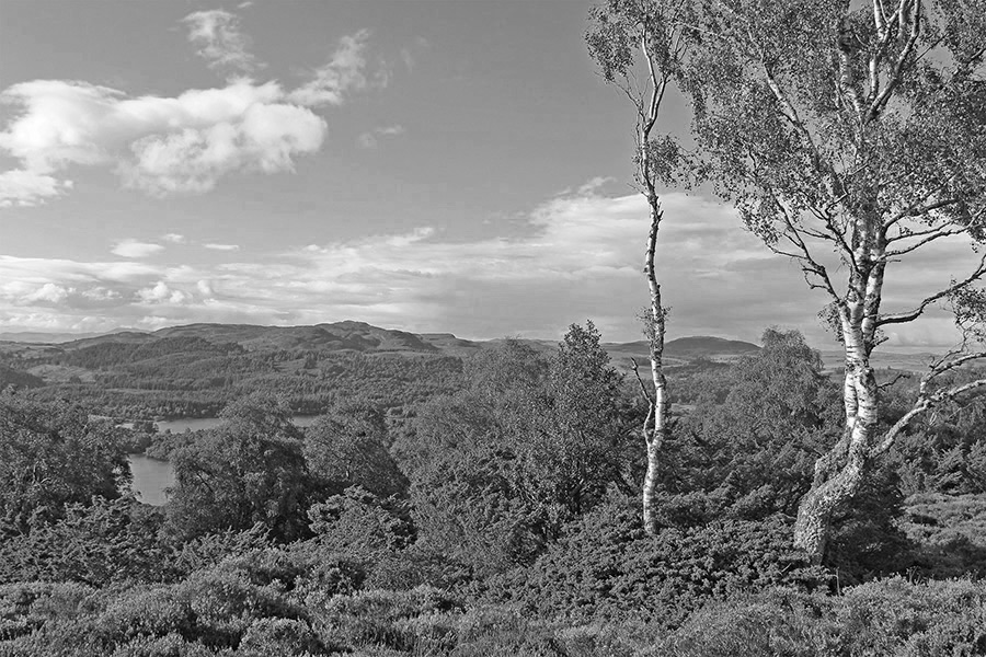 Cardney Estate, Near Dunkeld