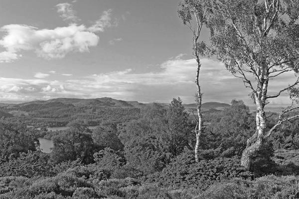 Cardney Estate, Near Dunkeld