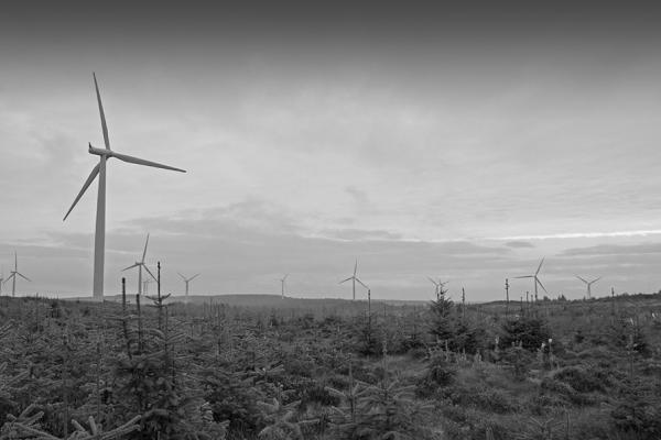 Renewables Projects at Dalquhandy, Pearie Law, Glenmuir Forest and High Mark